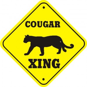 cougar cougar 300x300 Episode 18 : la déviance