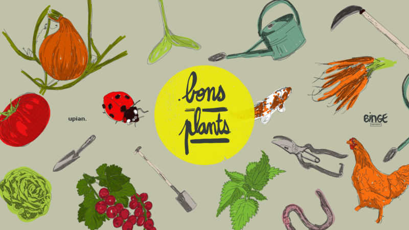 Podcast crush : Bons Plants