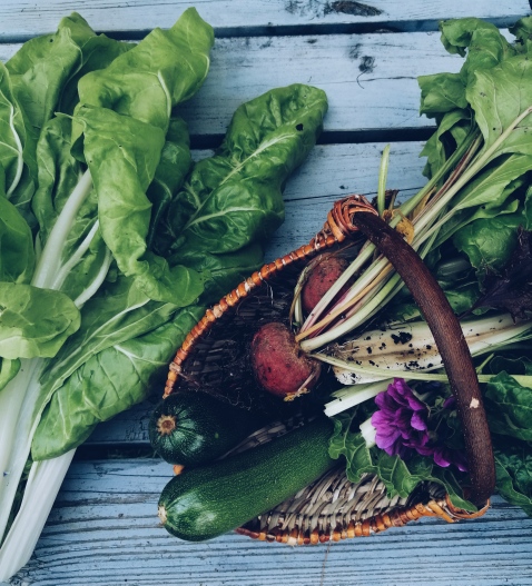 L’été au potager